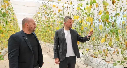 Buca’nın sofrasına tuz ektiler
