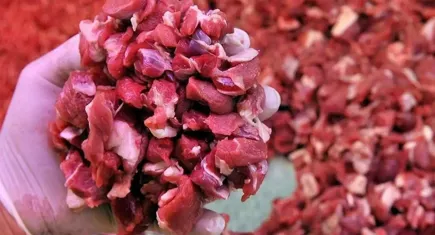 Dana eti yerinde saydı, kuzu geriledi 