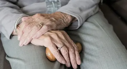Bakan Göktaş müjdeyi verdi: Yaşlı Destek Programı'na başvurular başladı