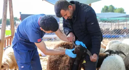 Buca Belediyesi’nden kurban pazarlarına sıkı denetim