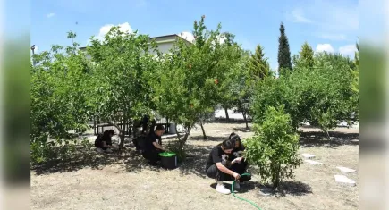 İzmirli öğrencilerden örnek proje