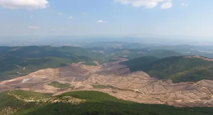Yeni bir kampanya: Kazdağları'nda Milyonlarca Ağaç Tehlikede