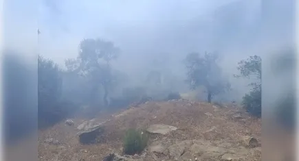 İzmir haber: Ödemiş'teki yangın kontrol altında