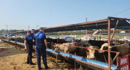 Çiğli’de kurban denetimleri bayramın ilk gününde başladı