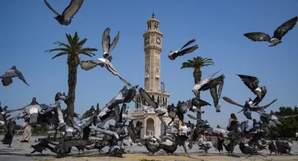 İzmir'de kent merkezi kuşlara kaldı