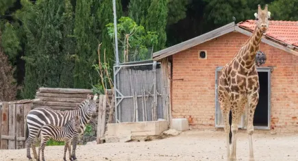 İzmir Doğal Yaşam Parkı bayramda da açık