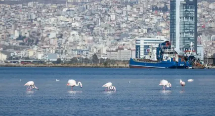 İzmir, Vilnius’ta iklim eylemi deneyimlerini paylaştı