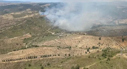 İzmir haber: Otluk alanda yangın