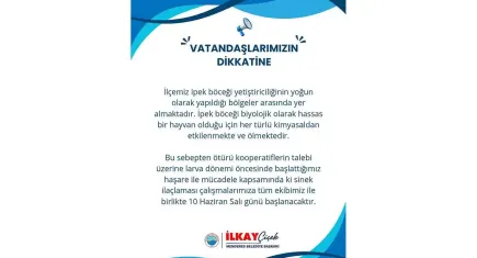 İpekböceklerini korumak için ilaçlama yapılacak