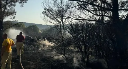 İzmir haber: Urla’daki yangında 1 kişi tutuklandı
