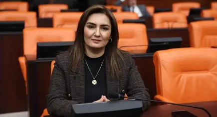 Işıl Öykü Dinç davasına ilişkin açıklama yapan Kılıç: Mobese görüntüleri dosyaya neden eklenmedi?