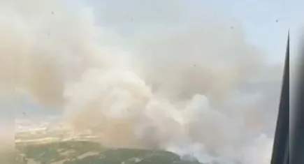 Dikili'de orman yangını!