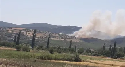 Balıkesir’de orman yangını: Havadan ve karadan müdahale ediliyor