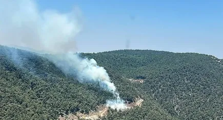 Manisa’da ormanlık alanda yangın çıktı