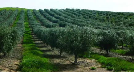Çevre Mühendisleri Odası’ndan meclise tepki: Doğal varlıklar sistematik şekilde yok edilecek