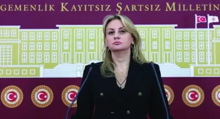 Kaya’dan Bakan Şimşek’e sert sözler: Tarih, Şimşek’i şirketleri batıran bakan olarak yazacak