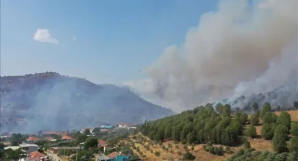 Aydın'da iki farklı noktada yangın 