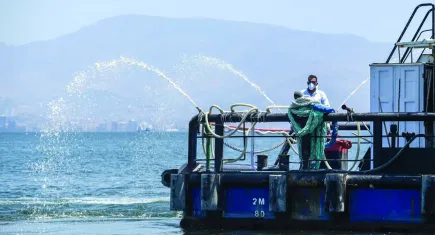 İzmir Körfez’inde yeni gelişme: Modifiye kil yöntemi sonuç verdi