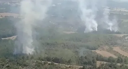 Adana’da orman yangınına müdahale sürüyor