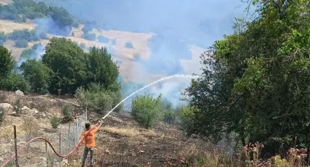 Antalya Yenikışla'da kırsal alanda yangın: Havadan ve karadan müdahale sürüyor