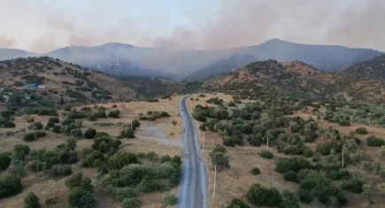 Aydın Efeler’deki yangın kontrol altına alındı: 320 hektar zarar gördü