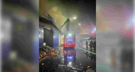 İzmir İtfaiyesi’nden yangınlara karşı etkin mücadele 