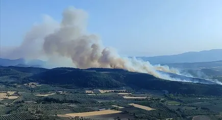Manisa'daki orman yangını 16 saatlik çalışmayla kontrol altına alındı