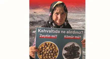 Zeytinlikler için bir imza daha