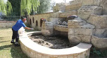 Efes Selçuk'ta kapsamlı ilaçlama çalışması