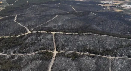 Aliağa-Foça orman yangını 22 saatte kontrol altına alındı: Yanan alan drone ile görüntülendi