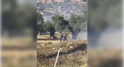 İzmir haber: Bayındır'da yangın!