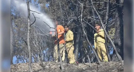 İzmir haber: Kemalpaşa'daki yangın kontrol altında