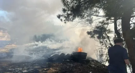 Muğla'da orman yangını!