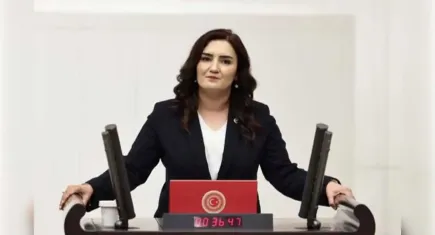 CHP'li Kılıç'tan İzmir yangını tepkisi: Önergeler rafta, önlemler lafta kaldı