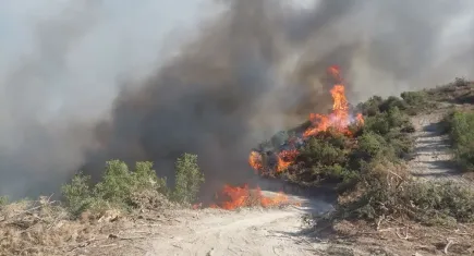 Manisa’da bir orman yangını daha: İzmir ekipleri Kula’da