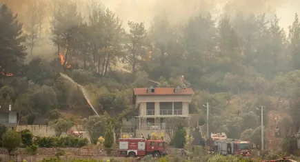 İzmir haber: Yangınlar 10 bin hektarlık alanı kül etti