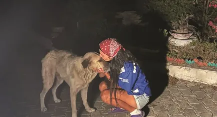 HAYTAP’tan yangınlar için sahra çadırı çağrısı 