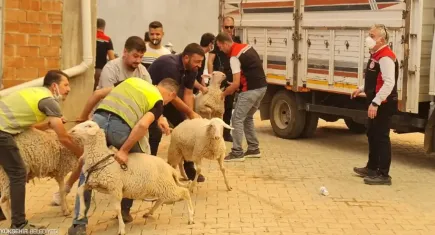 Ödemiş’te orman yangını: Hayvanlar kamyonlarla tahliye ediliyor
