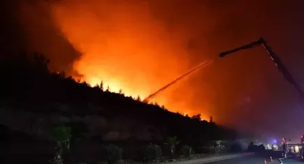 İzmir'in Buca ilçesindeki orman yangınına neden olan şüpheli tutuklandı