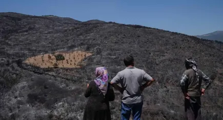 İzmir'de önceden otlardan temizlenen bahçe zarar görmedi