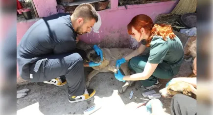 Can dostlar için anlamlı iş birliği: Menderes ve Üsküdar el ele! 