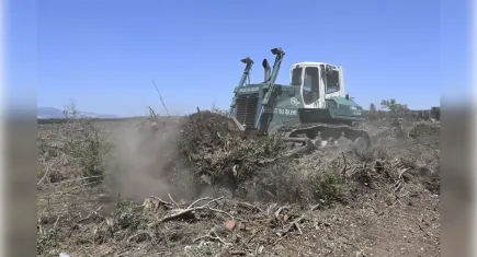 Orman yangınlarının kahramanları: Bu doğayı korumak zorundayız!