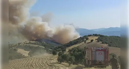 Manisa'da başlayan yangın Uşak'a sıçradı!