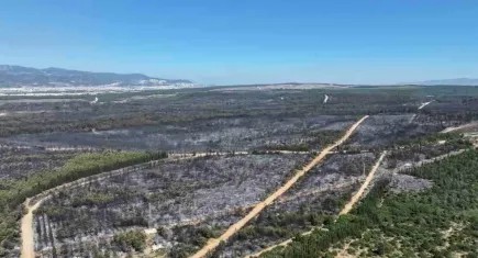 İzmir’de orman yangınları felakete dönüştü: Bir ayda 26 bin hektar alan kül oldu