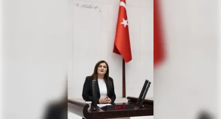 Sevda Erdan Kılıç: Bu bir siyasi sindirme harekatı