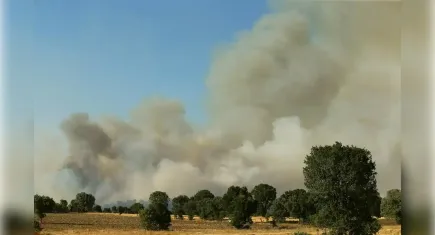 Uşak'taki yangın ormanlık alana sıçradı