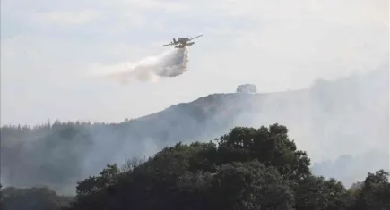 Kırklareli’nde orman yangını