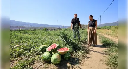 Başkan Sengel'den çiftçiye destek eli