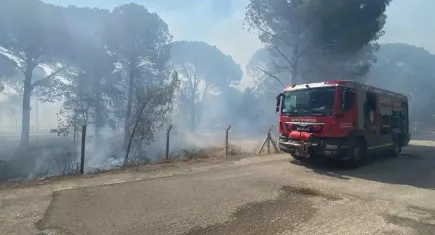 İzmir haber: Bergama'daki orman yangını kontrol altına alındı