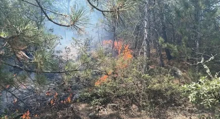 Bolu'da çıkan orman yangını kontrol altına alındı